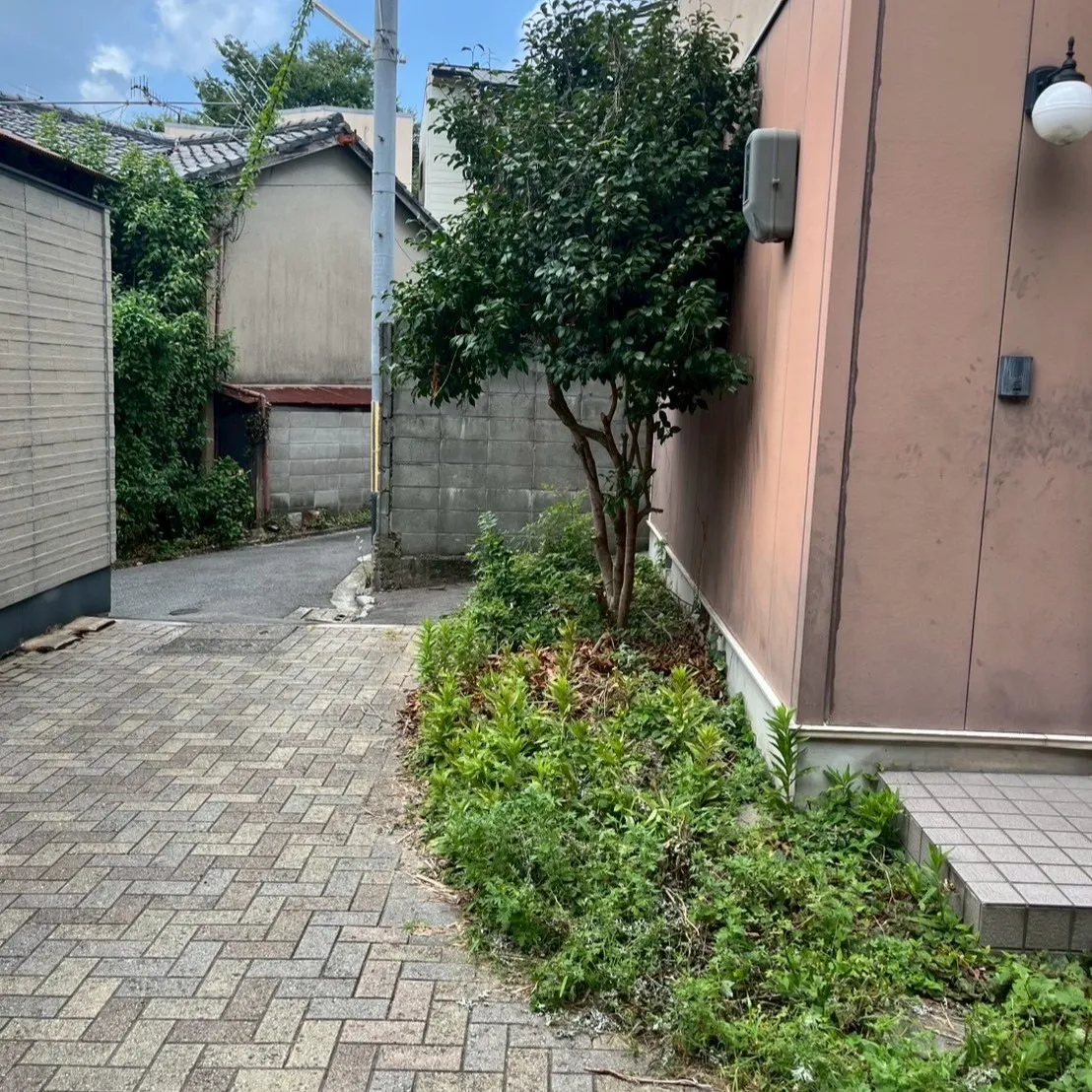 京都市北区で、長年にわたって増えてしまった生木や雑草によって...