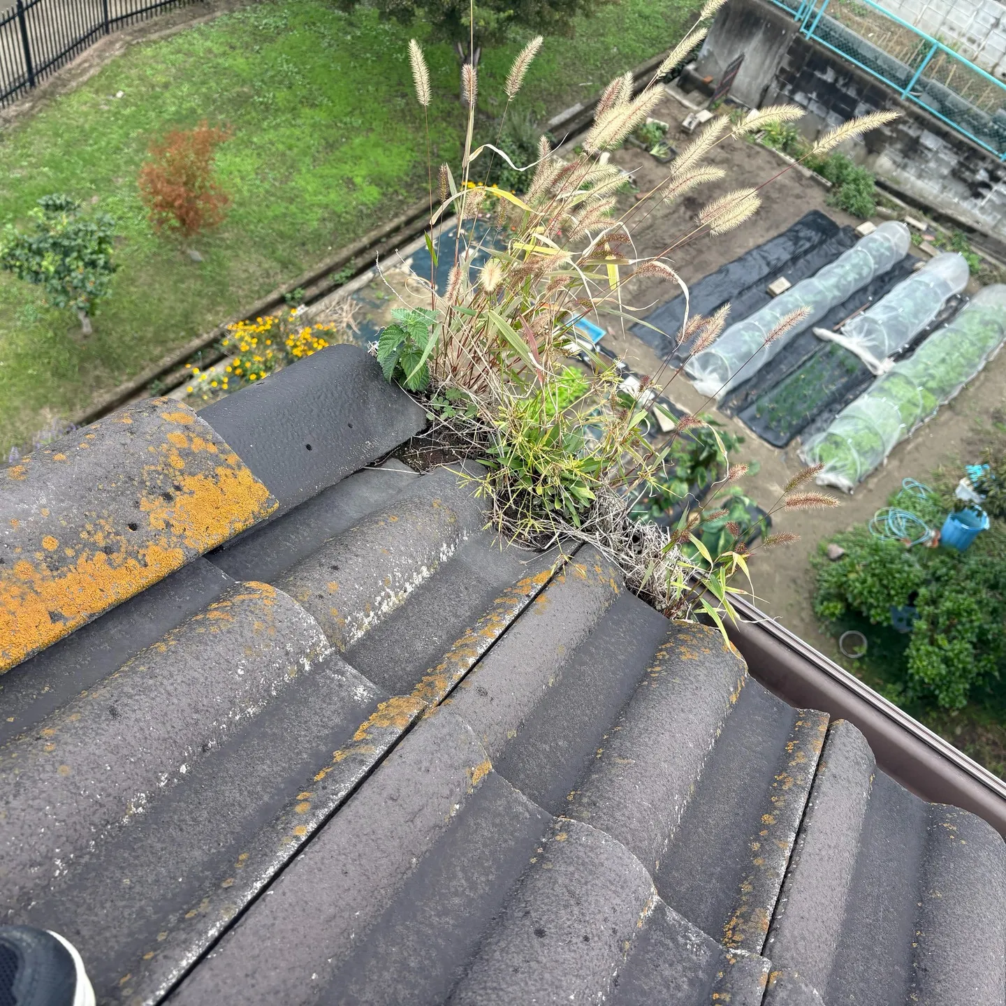 最近、あるお客様のお宅で雨樋の清掃作業をさせていただきました...