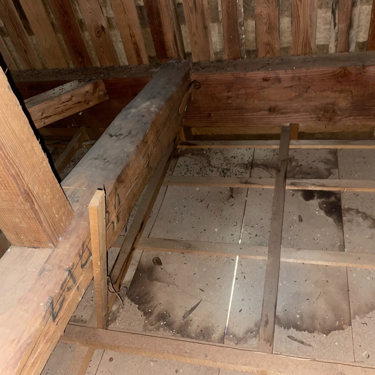 大屋根の葺き替え工事が無事に完了しました。