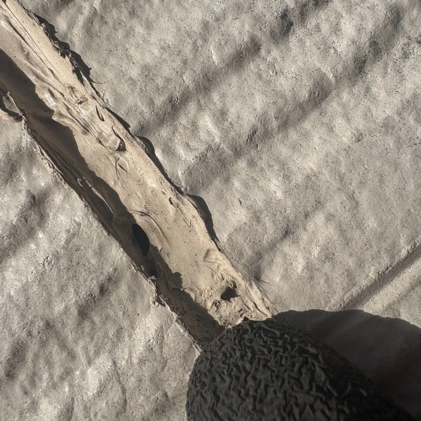 外壁のメンテナンスは、建物の美観だけでなく、内部を保護する上...