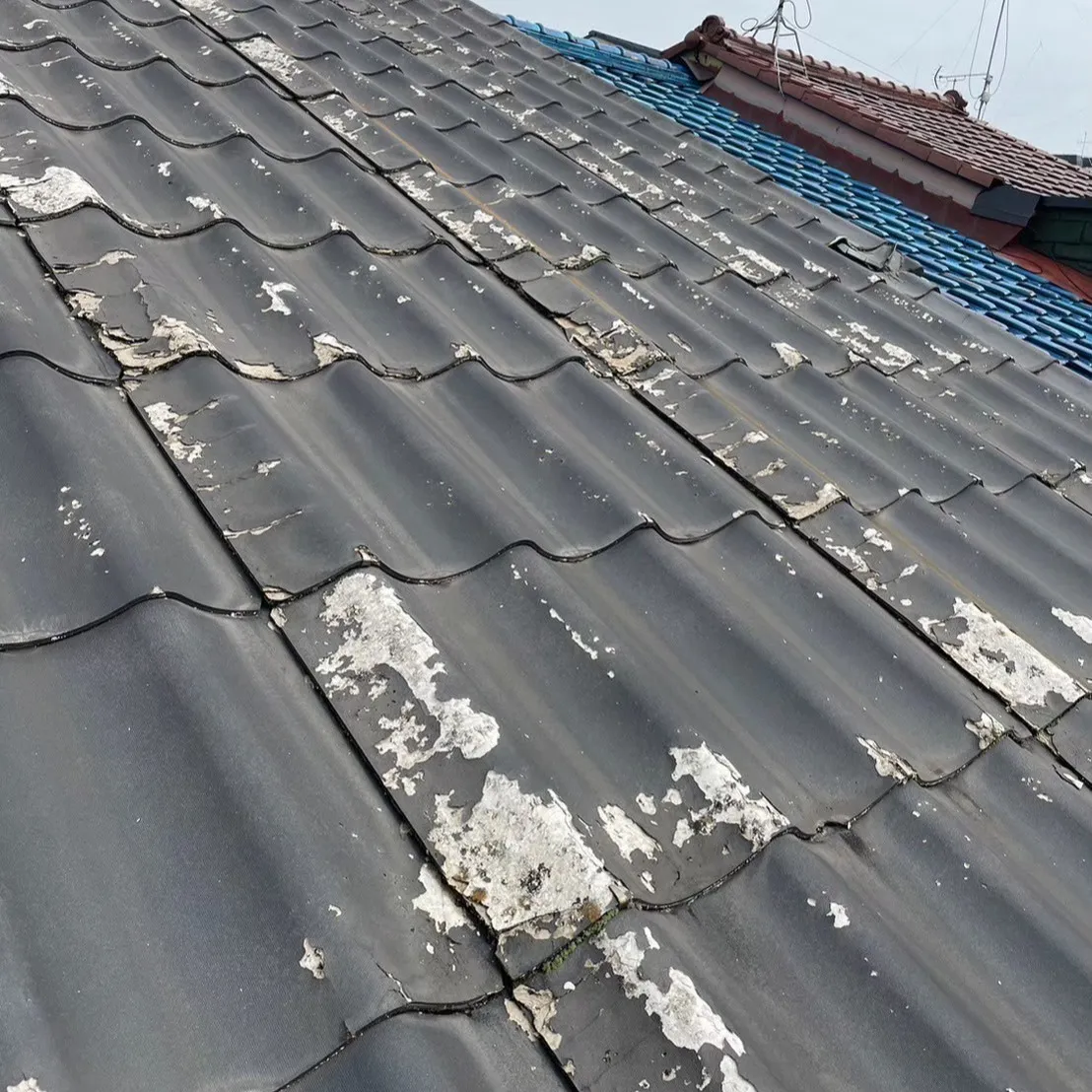 大屋根の葺き替え工事が無事完了しました。