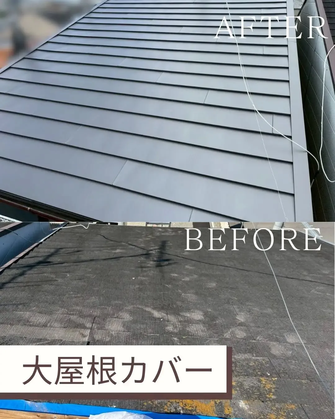 今回、棟の板金が飛び雨漏りしてしまったとご相談がありました。