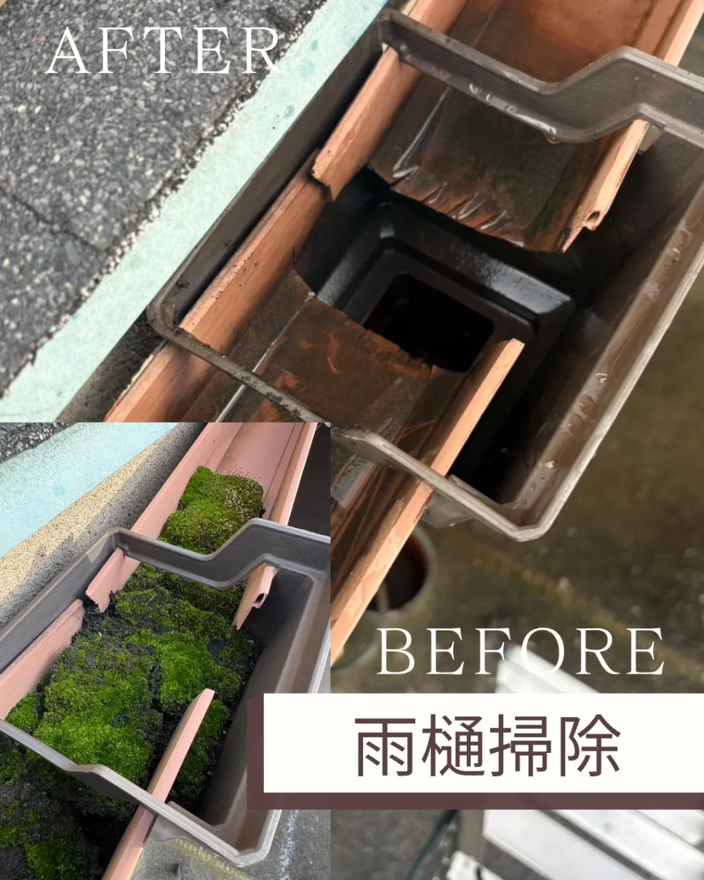 「雨樋の掃除くらい、あと回しでも大丈夫」と思っていませんか?